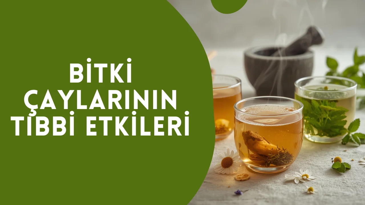 Bitki Çaylarının Tıbbi Etkileri