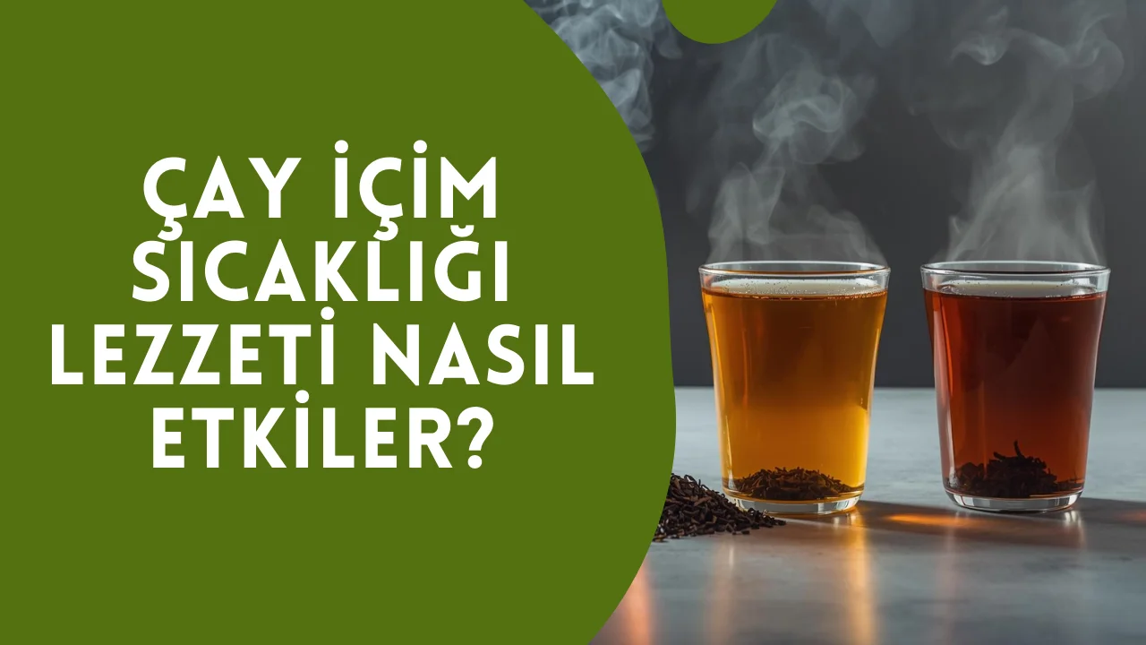 Çay İçim Sıcaklığı Lezzeti Nasıl Etkiler? 9 Çay İçim Sıcaklığı Lezzeti Nasıl Etkiler