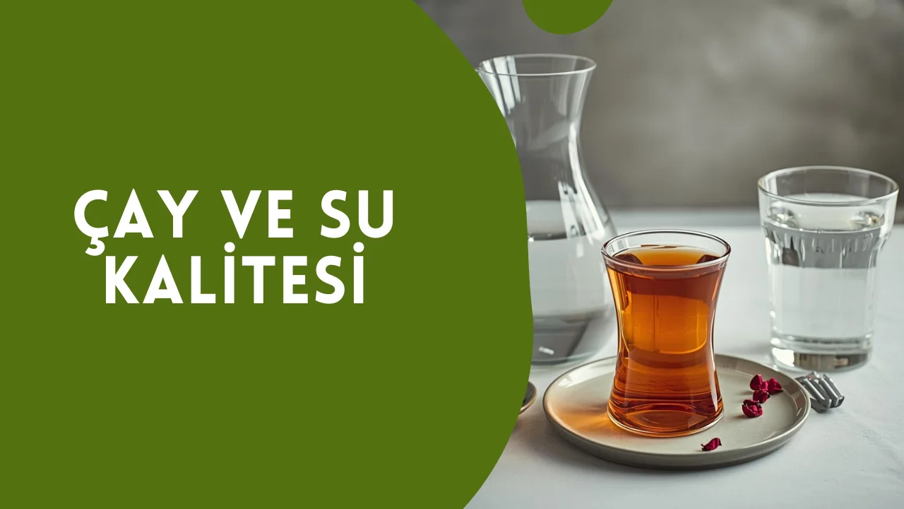 Çay ve Su Kalitesi