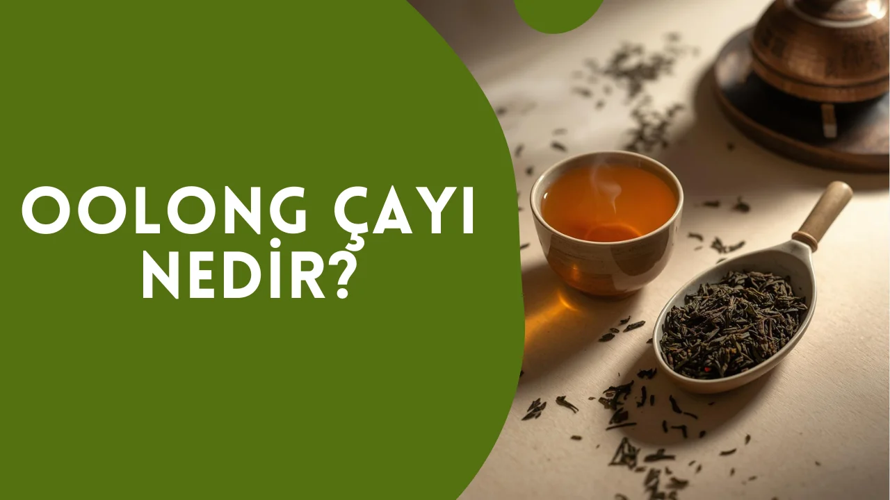 Oolong Çayı Nedir? 2 Oolong Çayı Nedir