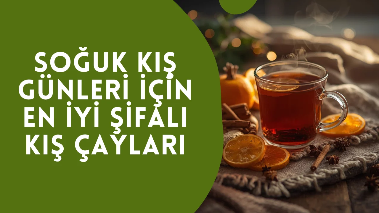 Soğuk Kış Günleri İçin En İyi Şifalı Kış Çayları 2 Soğuk Kış Günleri İçin En İyi Şifalı Kış Çayları